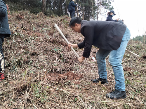 背簍人家植樹節(jié)